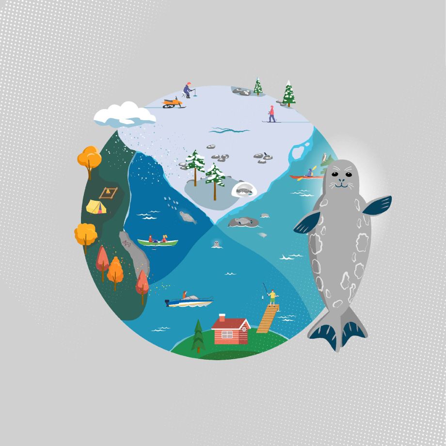 Yhteinen saimaannorppamme -LIFE kansikuva, jossa vuodenajat ja norppa visualisoituina.