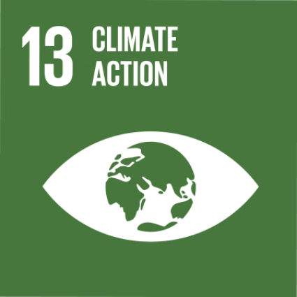 Goal: Climate action icon.