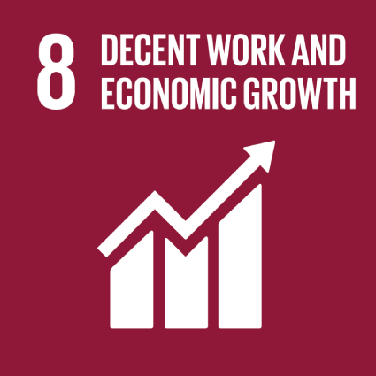 UN-sdg8-en